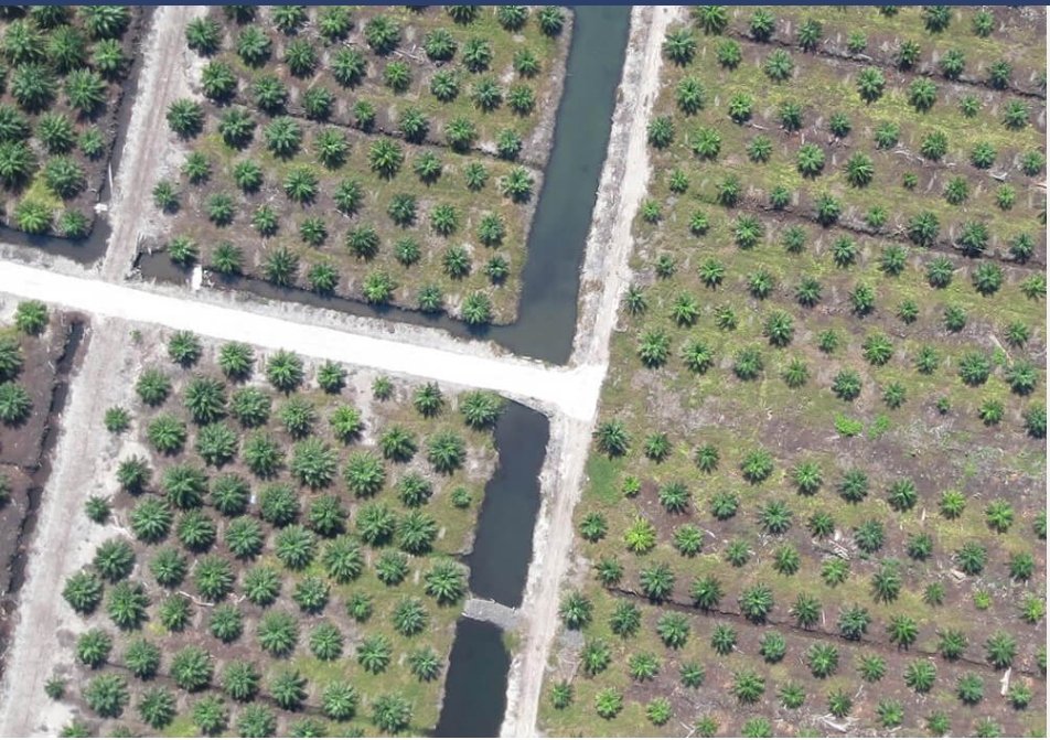 Pemetaan Saluran Air Drainase & Koridor Jalan Udara