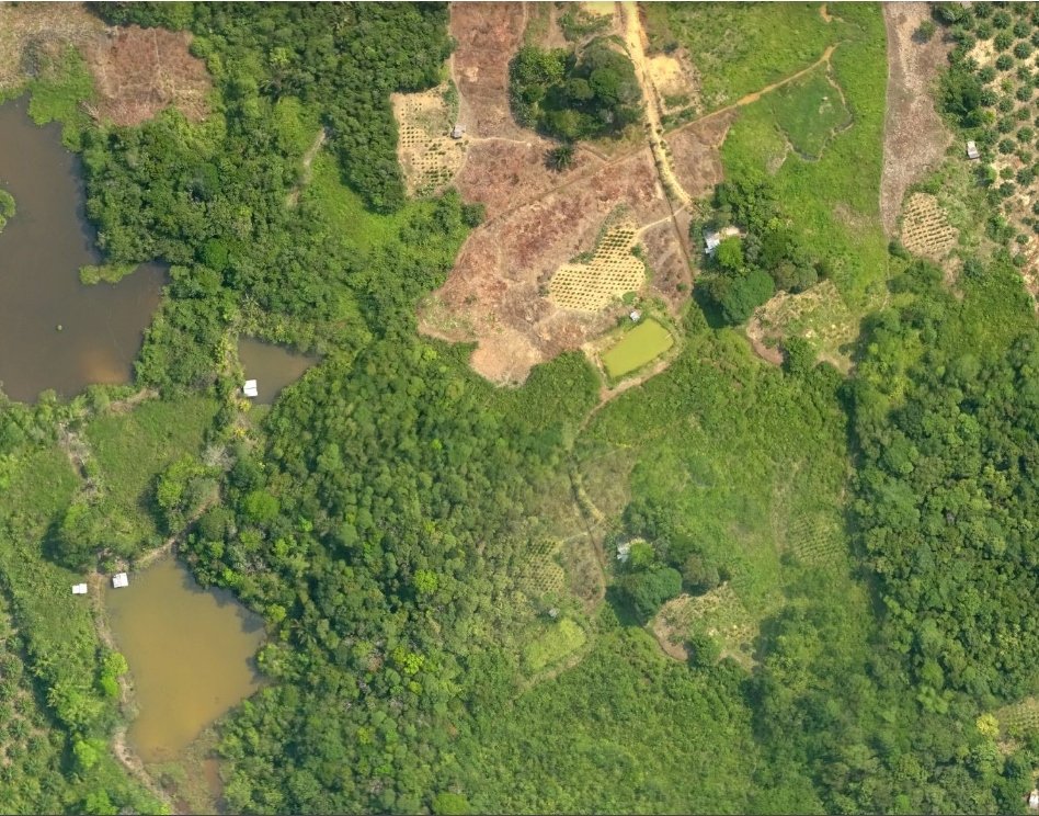 Agriculture & Geo-Plantation PT Spatial Citra Arkan