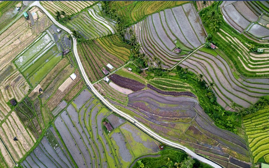 Pengendalian Telemetri Drone Pemetaan Lahan